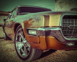 Muscle Car ALT