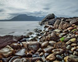 Scottish Shoreline ALT