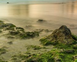 Irish Shoreline ALT