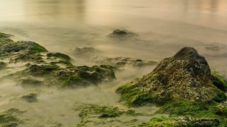 Irish Shoreline ALT